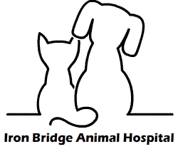 <div align="left"><span style="font-size: 12pt; font-family: 'Times New Roman'"><font face="Verdana" size="6"><font size="5">Pet Health Care</font> <font size="5">by </font>Iron Bridge Animal Hospital, <font size="5">Richmond, Virginia <br />
Dr William Dunnavant<br />
<br /><a href="http://petsites.com/petsites.html?id=348" title="" onclick="window.open(this.getAttribute('href'),'');return false;" target="_blank"><img alt="" title="" src="/sites/site-2578/images/336600.png" border="0" height="84" width="226" /></a><br />
</font></font></span></div>
<div style="float: left; padding-left: 45px; margin-right: 20px; line-height: 20px; padding-top: 3px; font-size: 14px !important"><a style="text-decoration: none; color: #FFFFFF; font-weight: bold" title="" href="/site/view/237901_AboutYourPetSite.pml">About Your PetSite</a></div>