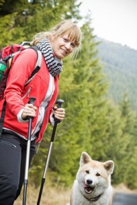 Akita2of2