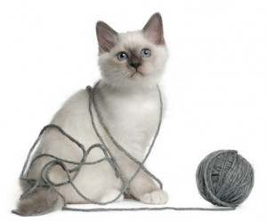 Birman1of2