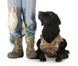 CurlyCoatedRetriever1of2