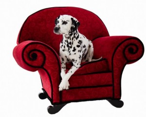 Dalmation2of2