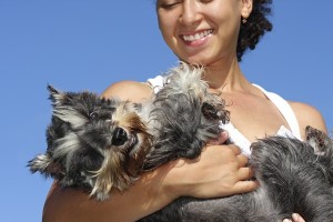 MiniSchnauzer2of2