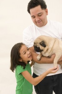 Pug_7137341Large