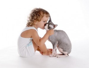 Sphynx1